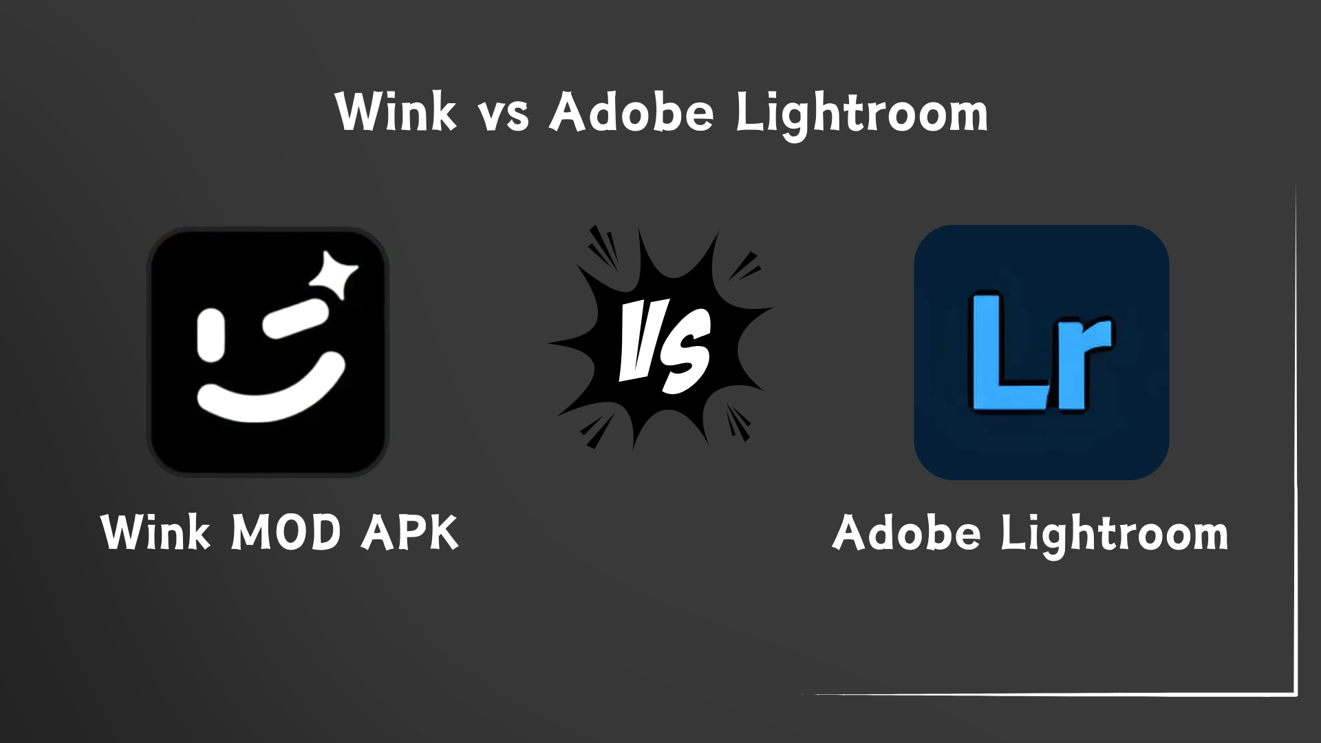 Wink vs Adobe Lightroom: Which One is Best in 2025