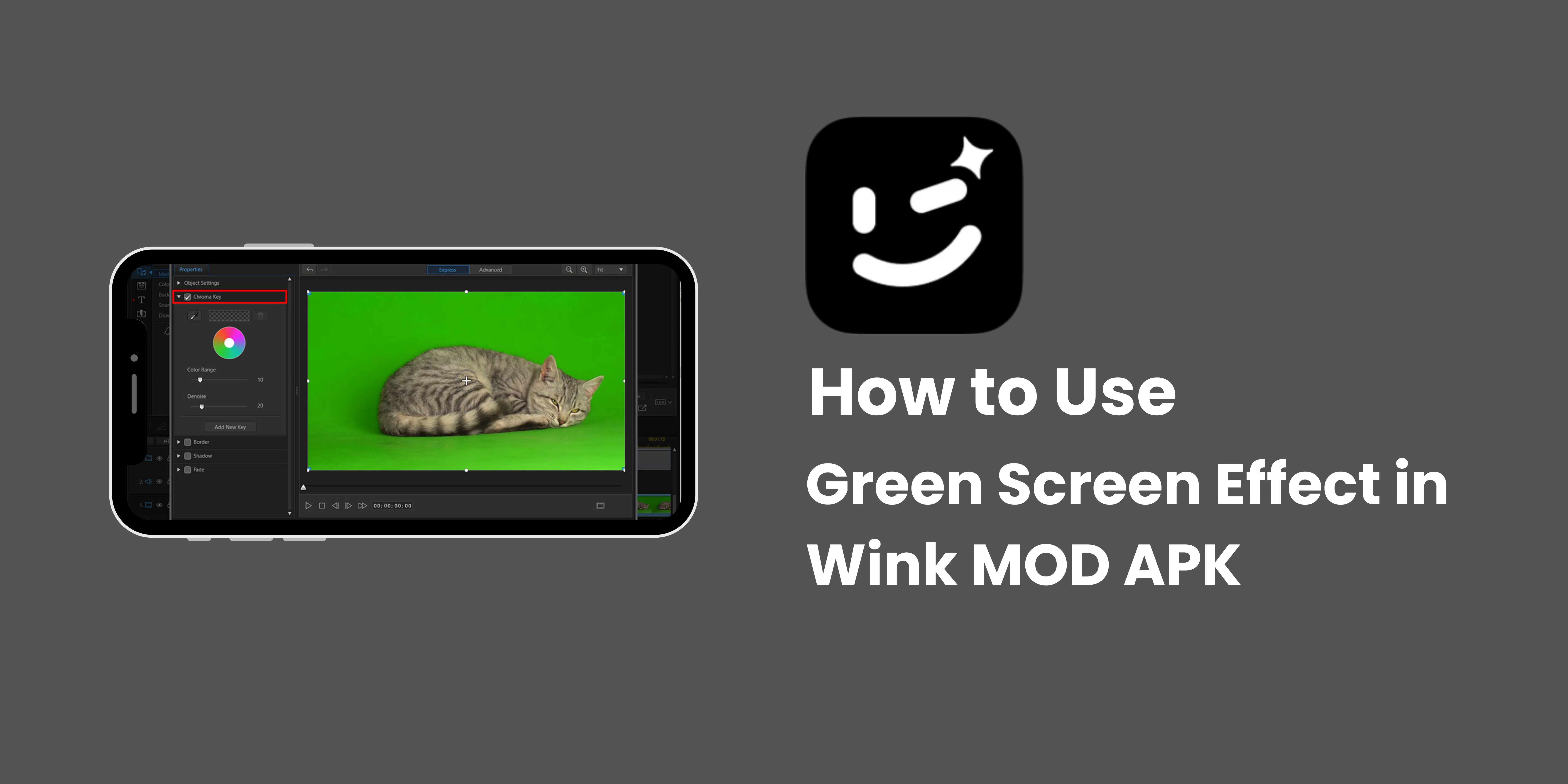 How to Use Green Screen Effect in Wink MOD APK